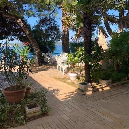 Seaside Apartment Padre Bibinje Eksteriør bilde